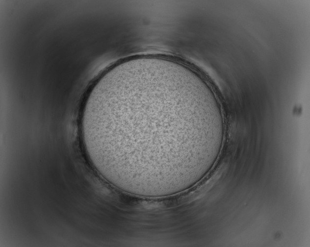 X0000102861407200809021414