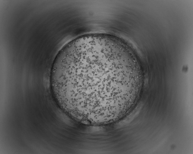 X0000102861409200809021414