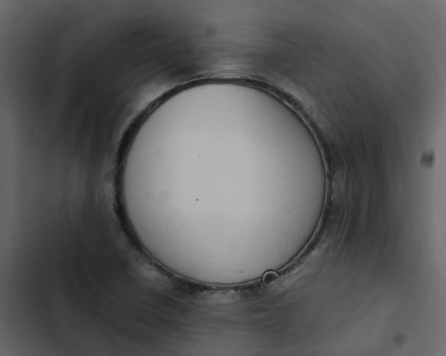 X0000102861410200809021414