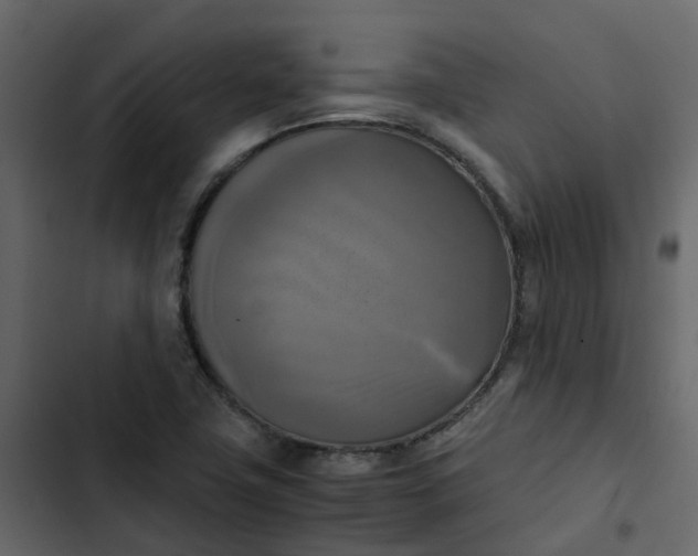 X0000102861411200809021414