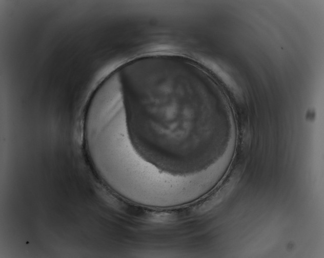 X0000102861413200809021414