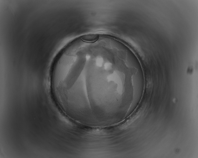 X0000102861414200809021414