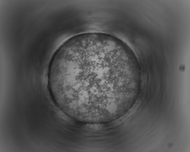 X0000102861415200809021414