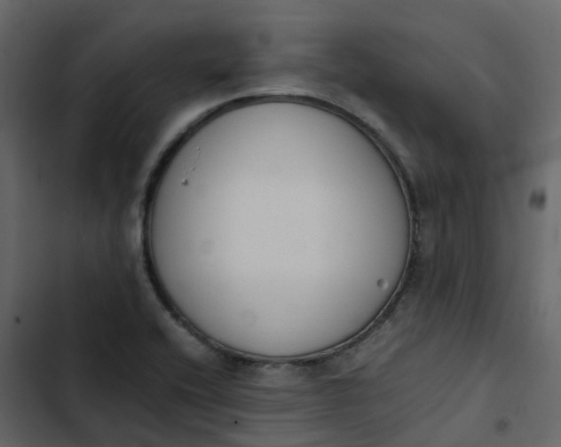 X0000102861416200809021414