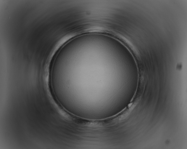 X0000102861418200809021414