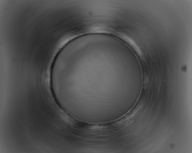 X0000102861419200809021414