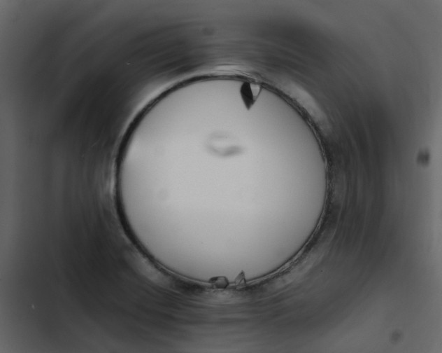 X0000102861420200809021414