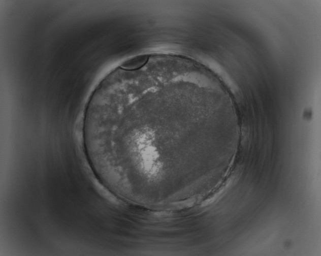 X0000102861421200809021414