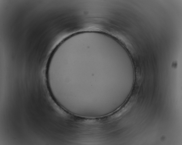 X0000102861422200809021414