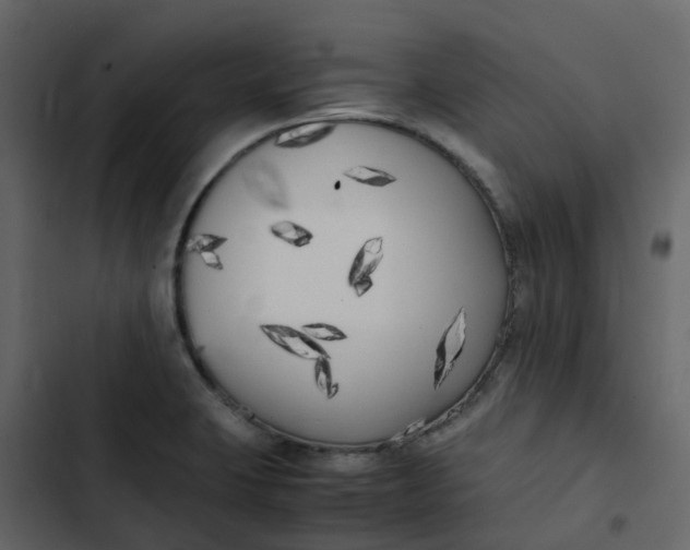 X0000102861423200809021414