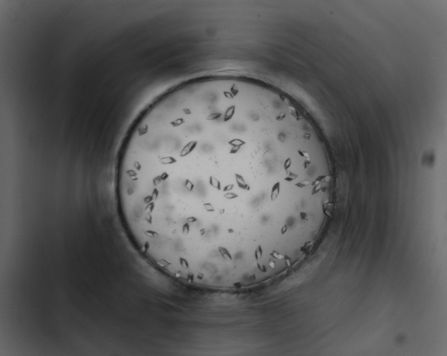 X0000102861424200809021414