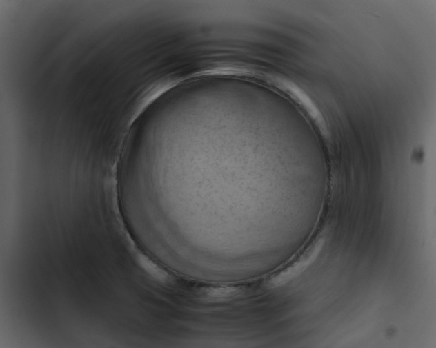 X0000102861425200809021414