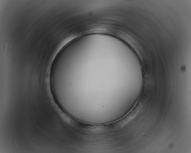 X0000102861426200809021414