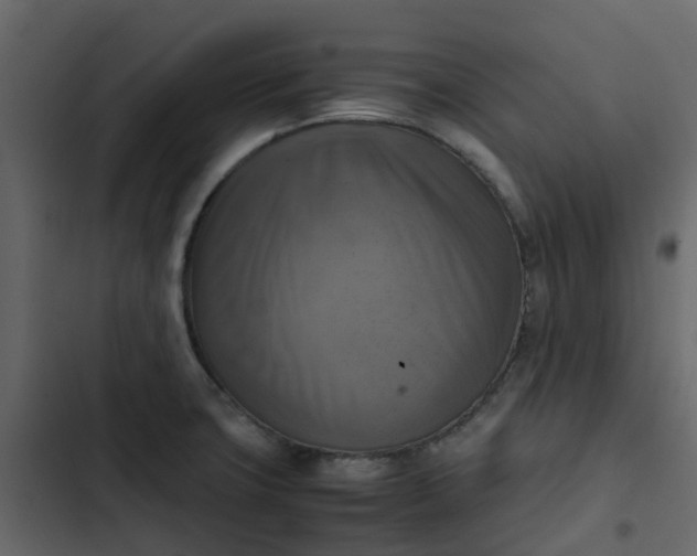 X0000102861427200809021414