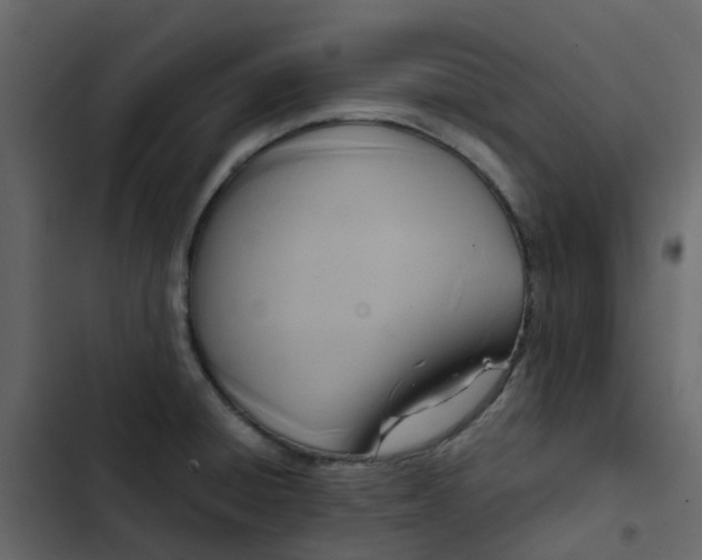 X0000102861428200809021414