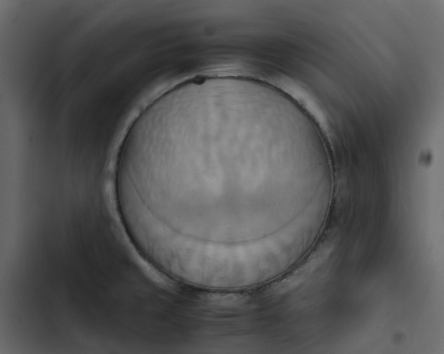 X0000102861429200809021414