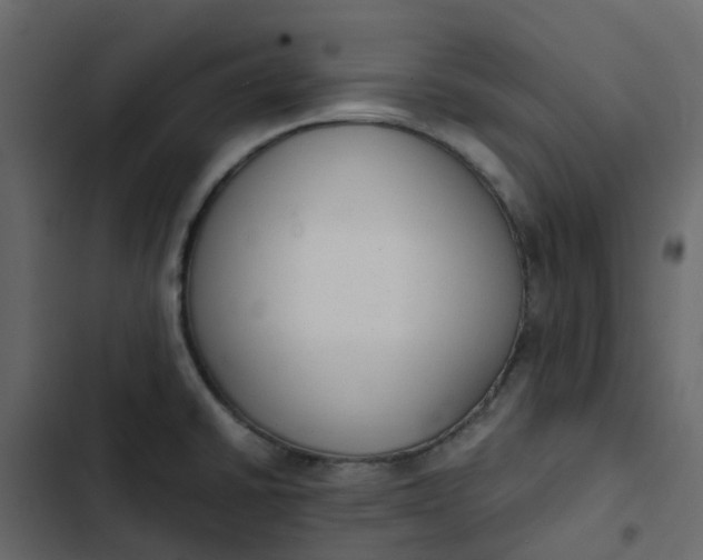 X0000102861430200809021414