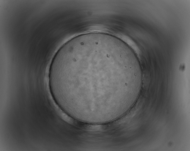 X0000102861431200809021414