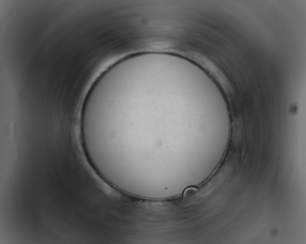 X0000102861432200809021414