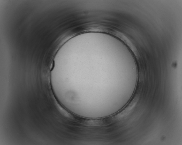 X0000102861433200809021414