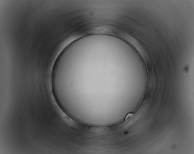 X0000102861434200809021414