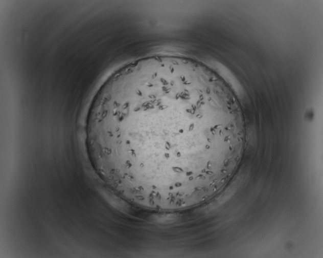 X0000102861435200809021414