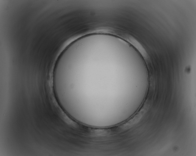 X0000102861436200809021414