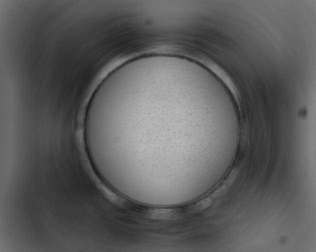 X0000102861437200809021414