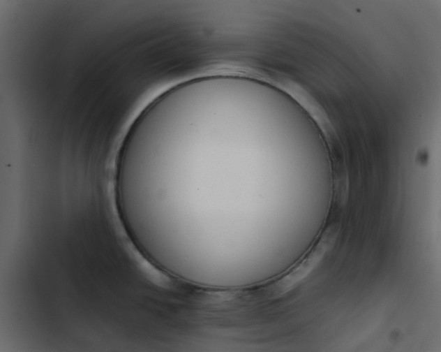 X0000102861438200809021414