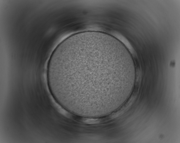 X0000102861439200809021414