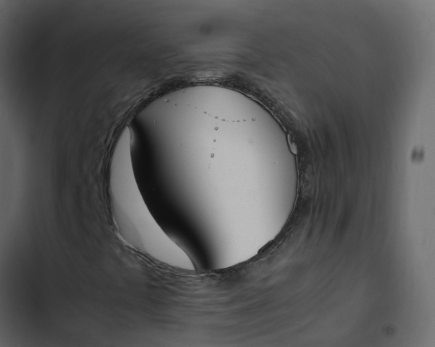 X0000102861441200809021413