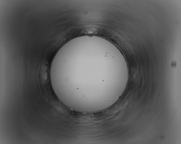 X0000102861442200809021413