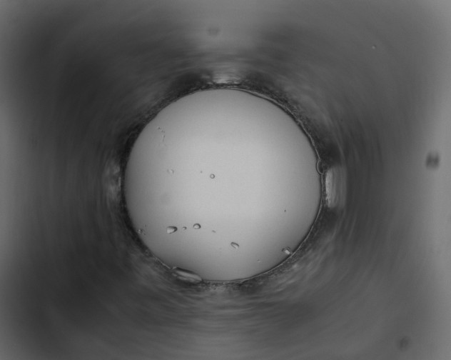 X0000102861443200809021413