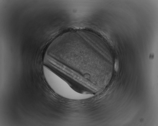 X0000102861444200809021413