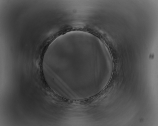 X0000102861445200809021413