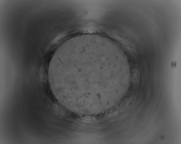 X0000102861446200809021413