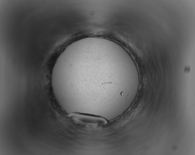 X0000102861447200809021413