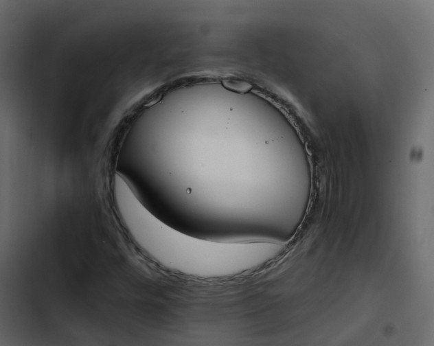 X0000102861448200809021413