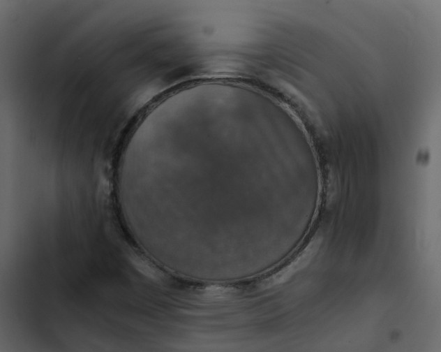 X0000102861449200809021413