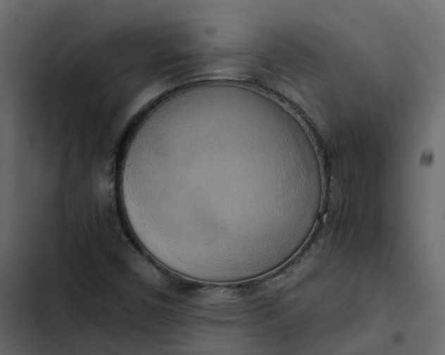 X0000102861450200809021413