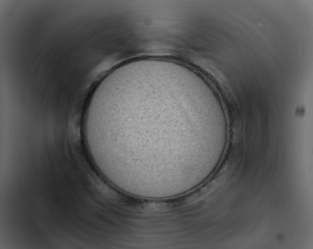 X0000102861451200809021413