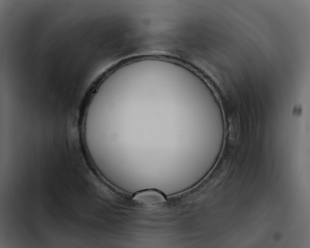 X0000102861452200809021413