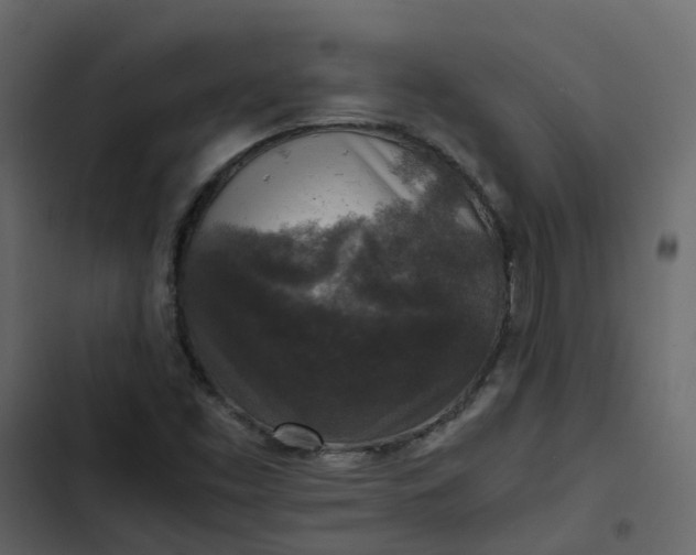 X0000102861453200809021413