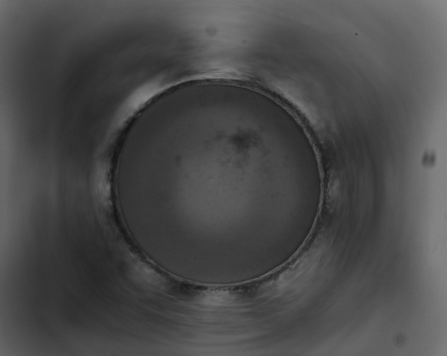 X0000102861455200809021413