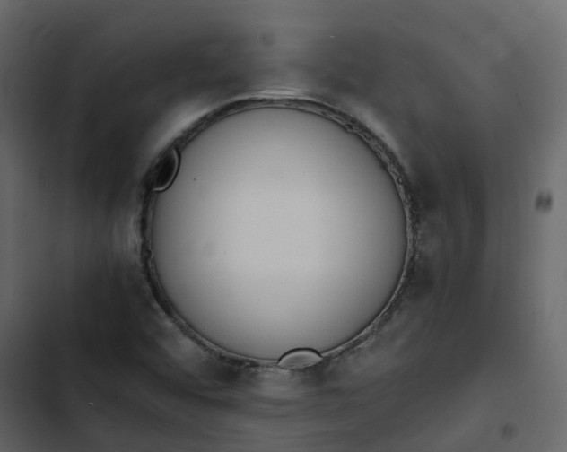 X0000102861456200809021413