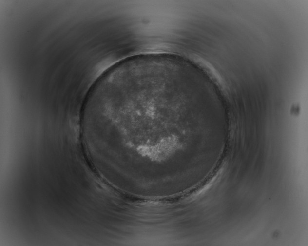 X0000102861457200809021413