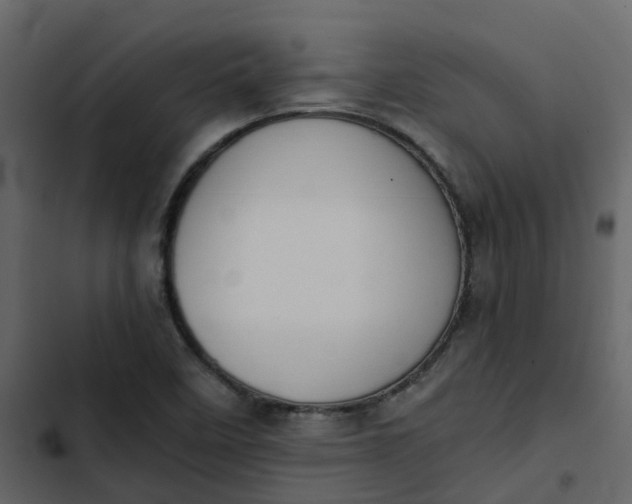 X0000102861458200809021413