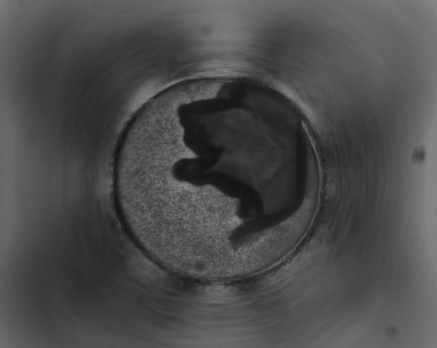 X0000102861459200809021413