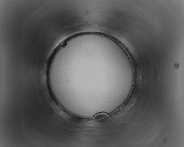 X0000102861460200809021413