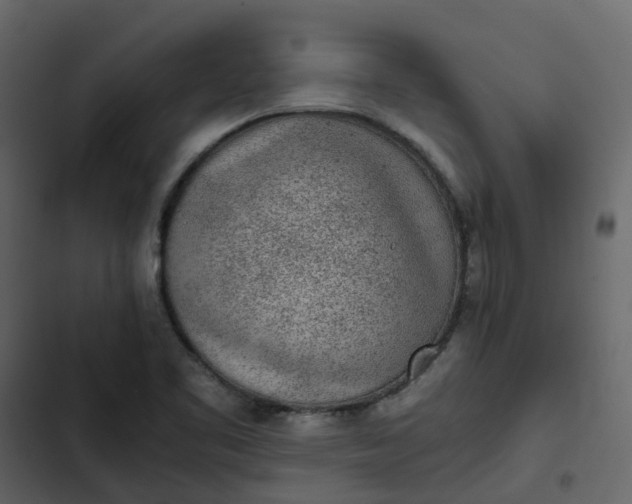 X0000102861461200809021413